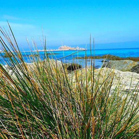 A Chiosella Egee * Corbara