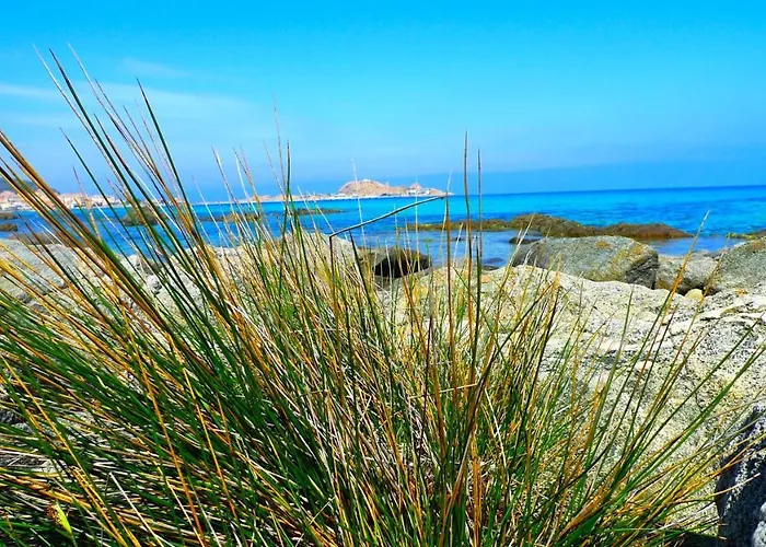 A Chiosella Egee * Corbara